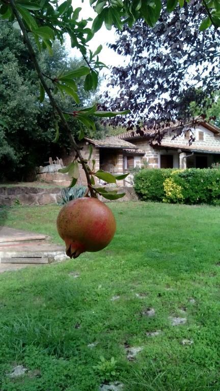 Agriturismo Casale Loreto Corchiano Kültér fotó